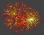 Complex Networks