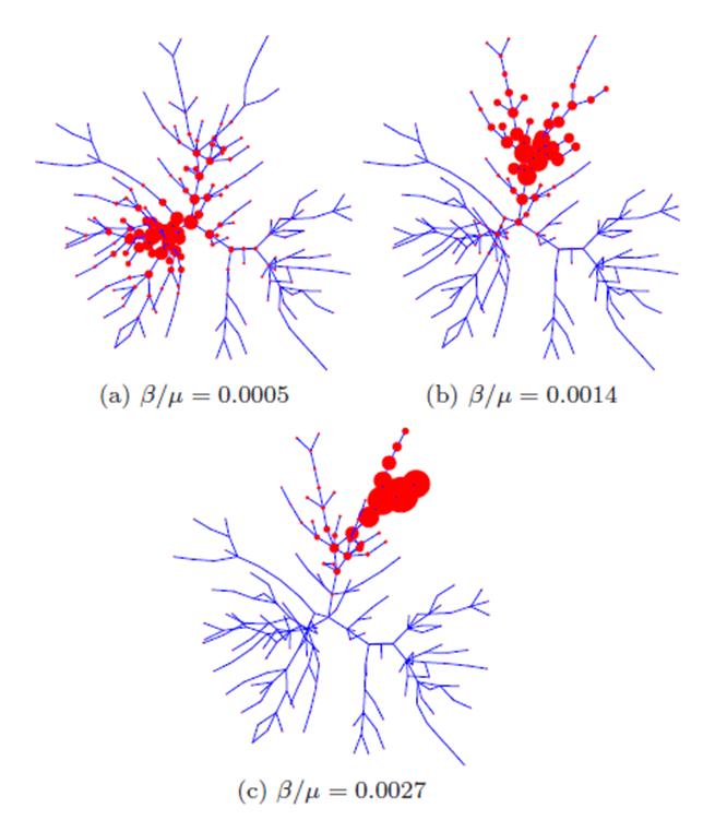 intro networks