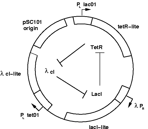 Gravatar example